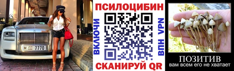 хочу наркоту  Суджа  hydra онион  Псилоцибиновые грибы Psilocybine cubensis 